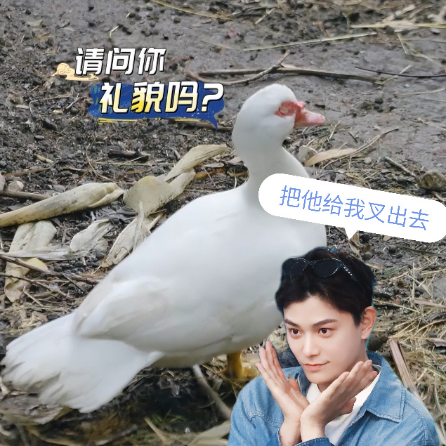 #丁禹兮到底在忙什么#  感觉丁禹兮真是好忙呀，忙着说烂梗，还忙着跳舞呢，真是承