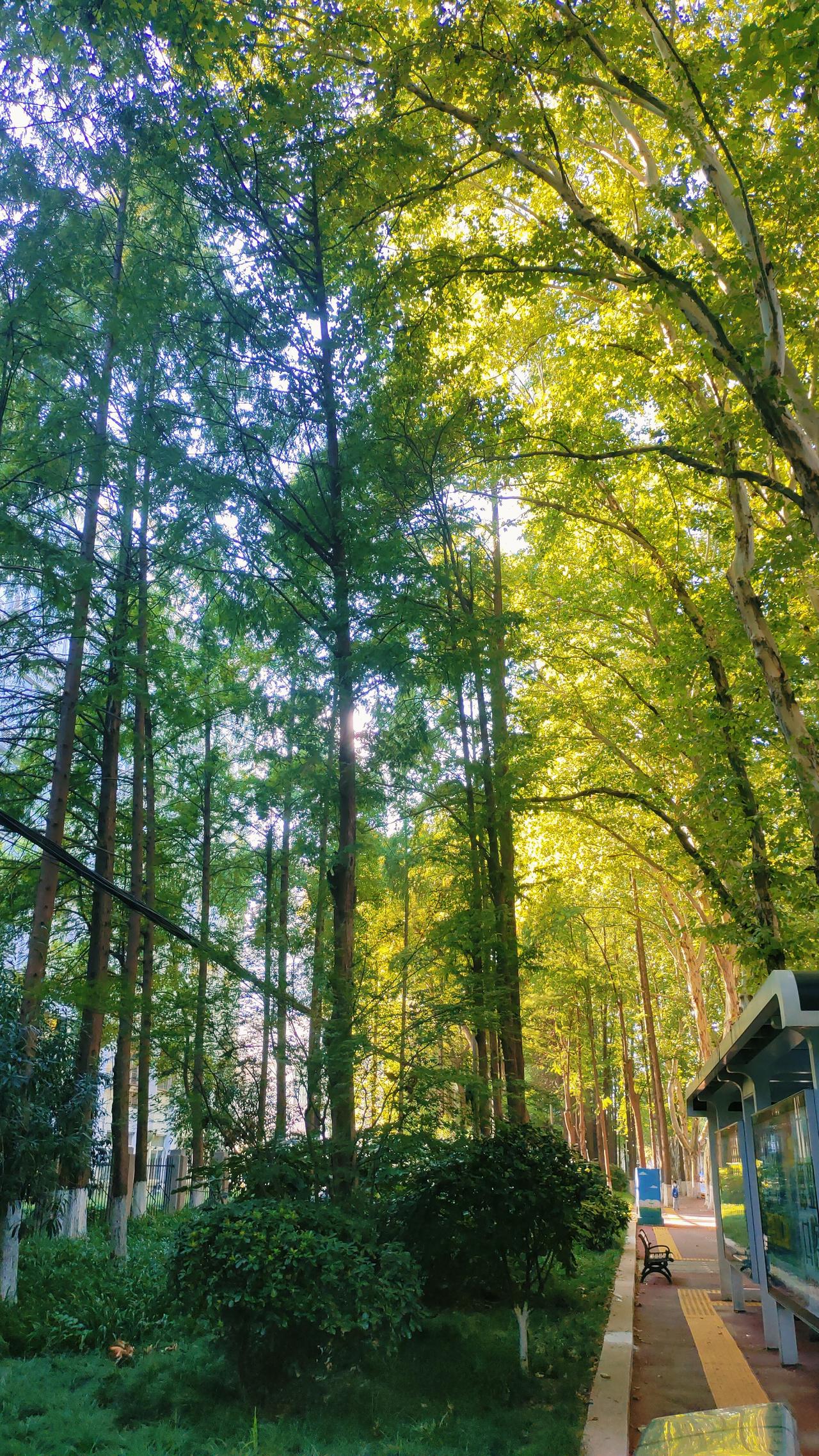 各种关系中最靠谱的就是亲人关系

亲人之间因为有着血脉和亲情的维系，是觉得有必要