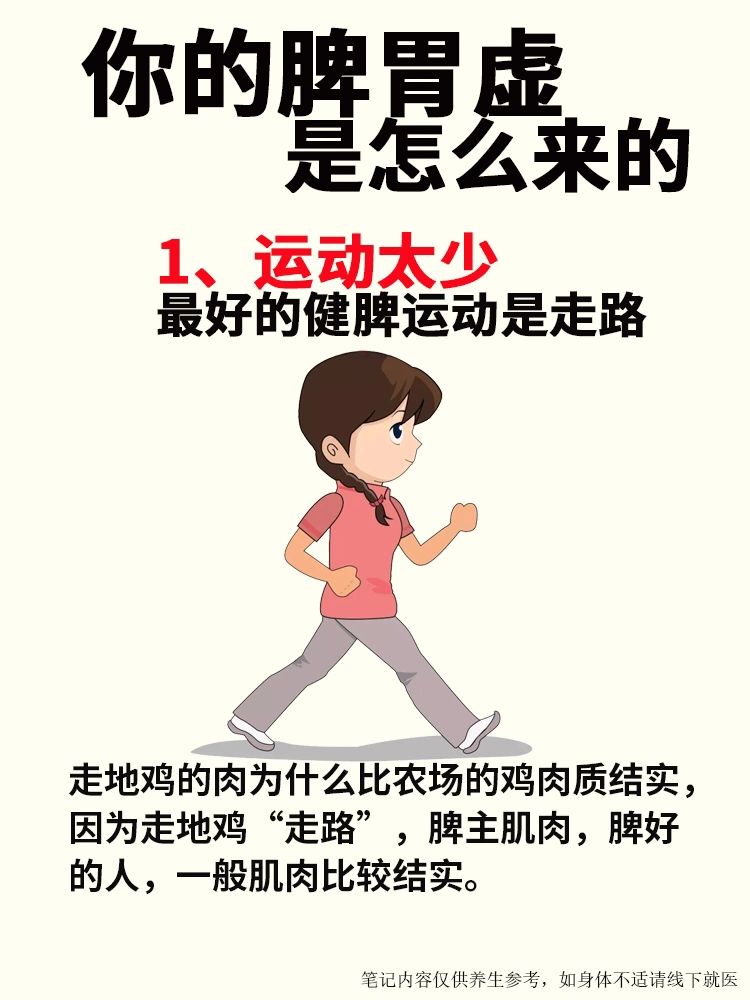 年纪轻轻就脾胃虚弱，是什么原因
