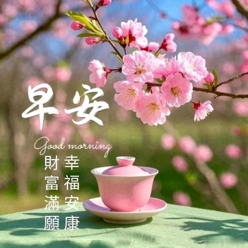 早安心语 五月晴空下繁花盛放，风携温柔掠过草地，治愈所有疲惫，接住暮春的浪漫。春