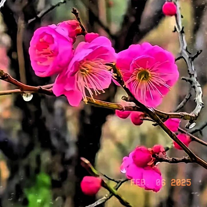 正月初九，幸福长长久久，愿好运接连不断，财源滔滔不绝，万事顺遂如意，大顺大财大吉