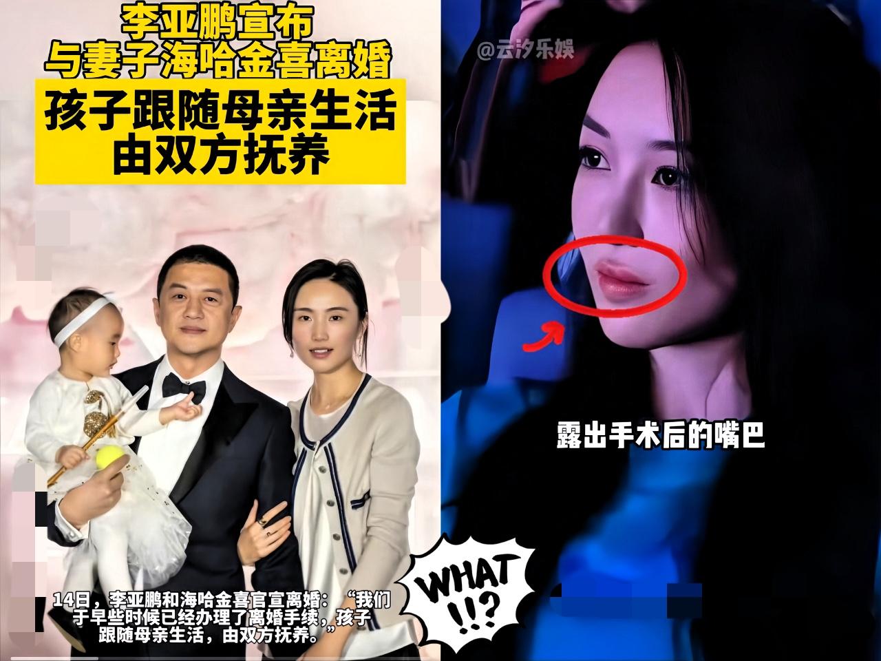 李亚鹏离婚
此时此刻最开心的人

绝对就是他的女儿李嫣了，因为她现在又是真正享受