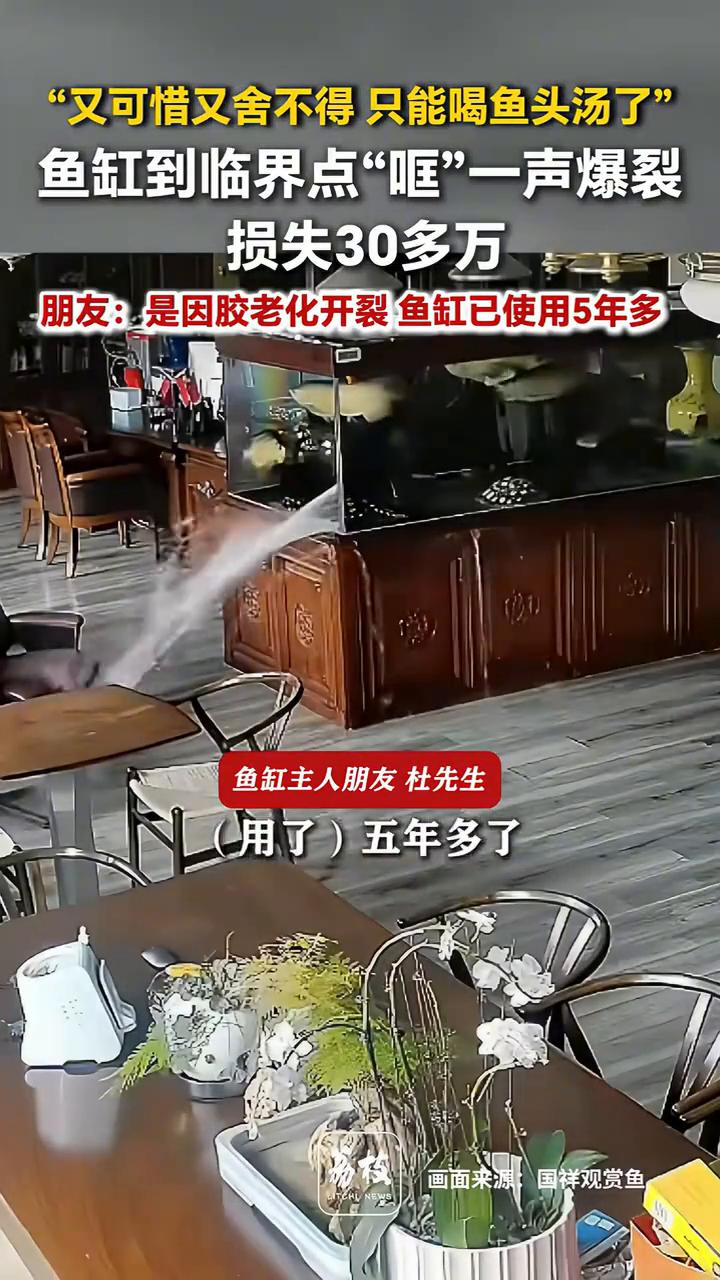 "又可惜又舍不得只能喝鱼头汤了"，鱼缸到临界点"哐"一声爆裂，损失30多万。
荔