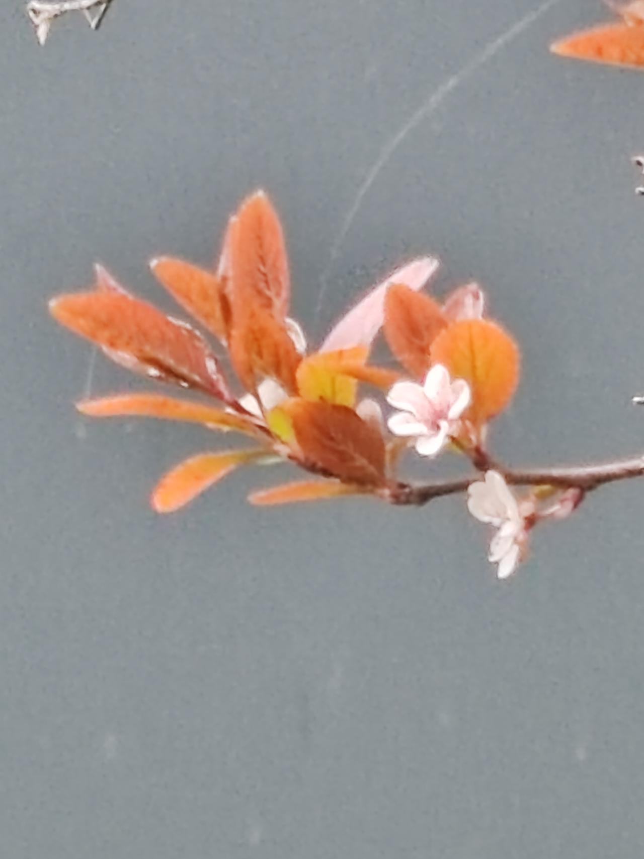 如果从时间和空间的角度再去构思，或许可以有新的下联。比如“东南西北俱藏珍”，“东