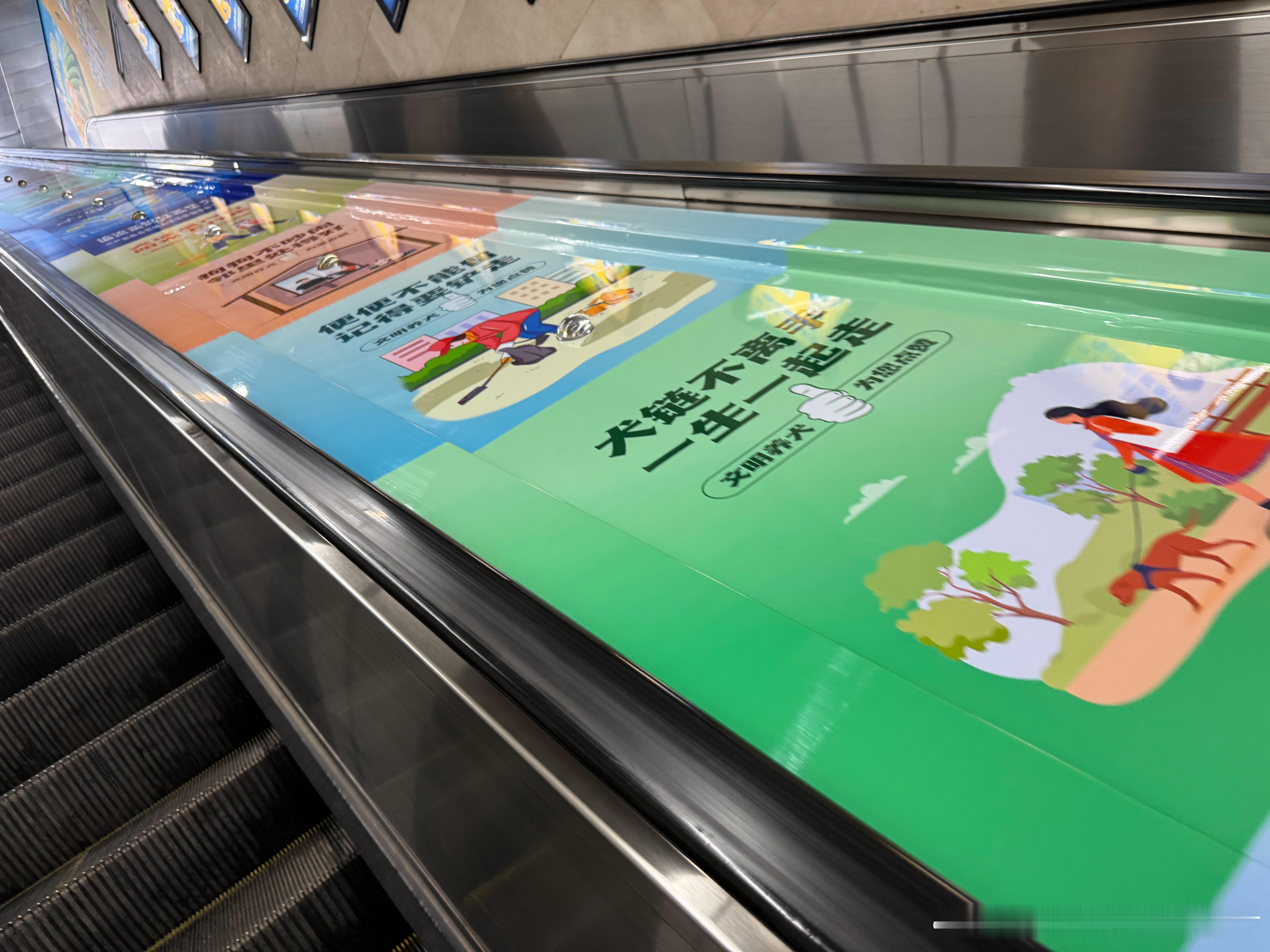 🌟 犬链是安全的诗行，写满守护与尊重。让每一次散步，都成为城市的温柔风景🌿文