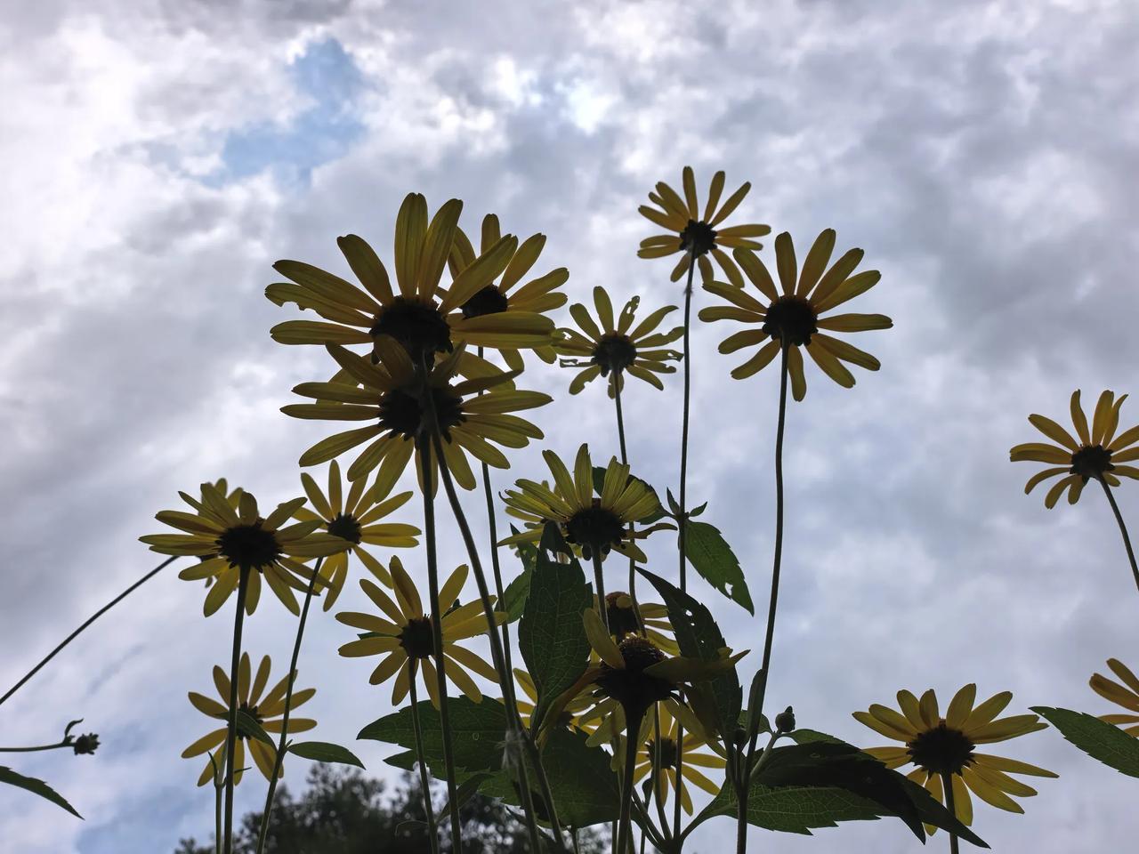 阿根廷努力一下希望还是很大的，一点点分析梅西的优势吧：
1.技术与效率：本赛季1