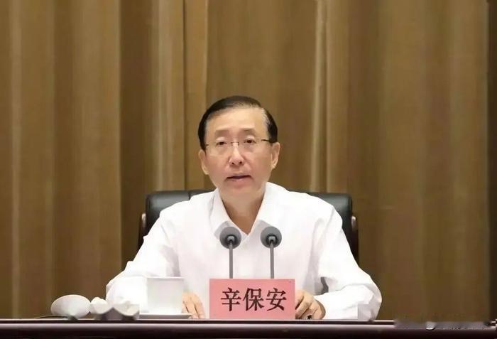辛保安“退而不休”，权力余温从来不是避风港
   2024年到龄卸下国家电网董事