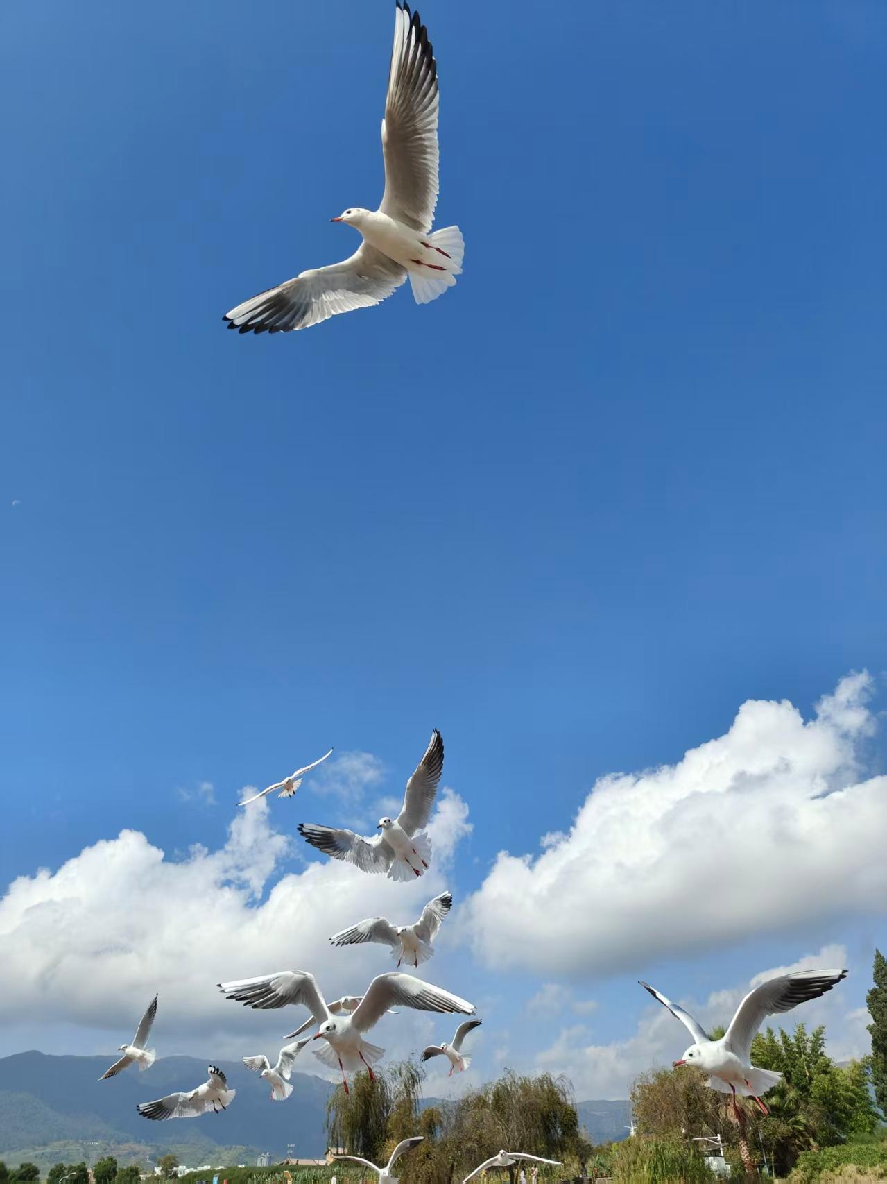 带娃儿耍秋假的朋友们，不要再去什么阿坝，九寨了，看什么红叶，看什么山水。人多得很