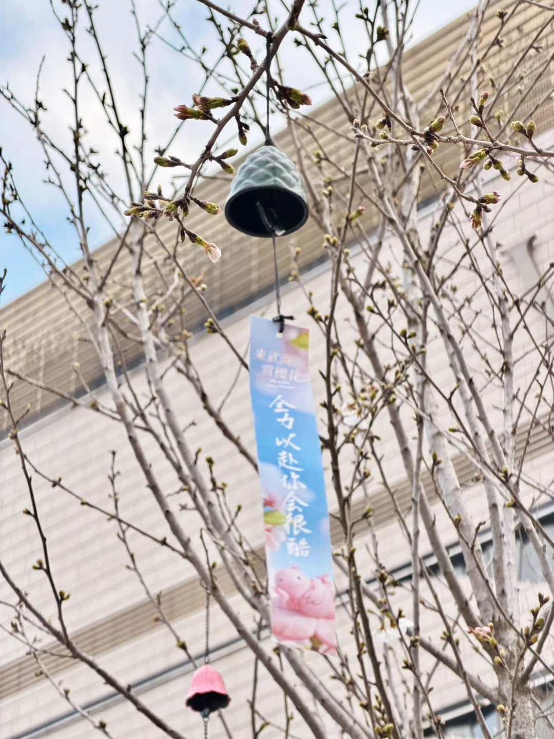 武汉的春天，果然藏在武商梦时代里✨