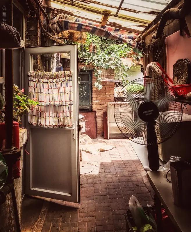 2月18日，四川资阳唐先生分享的监控视频让我感触颇深。视频记录了他家小院腊月二十