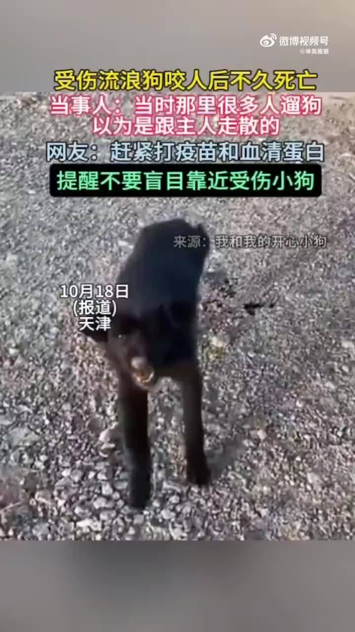 天津一女子发现车前趴着一只小狗，疑似受伤，以为和主人走散，下车查看，小狗奋起一口