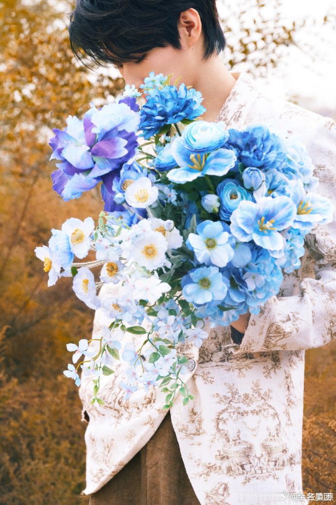 #张真源捧着蓝色鸢尾花##张真源手捧蓝色鸢尾花#张真源晒出的蓝色鸢尾花，让我们感