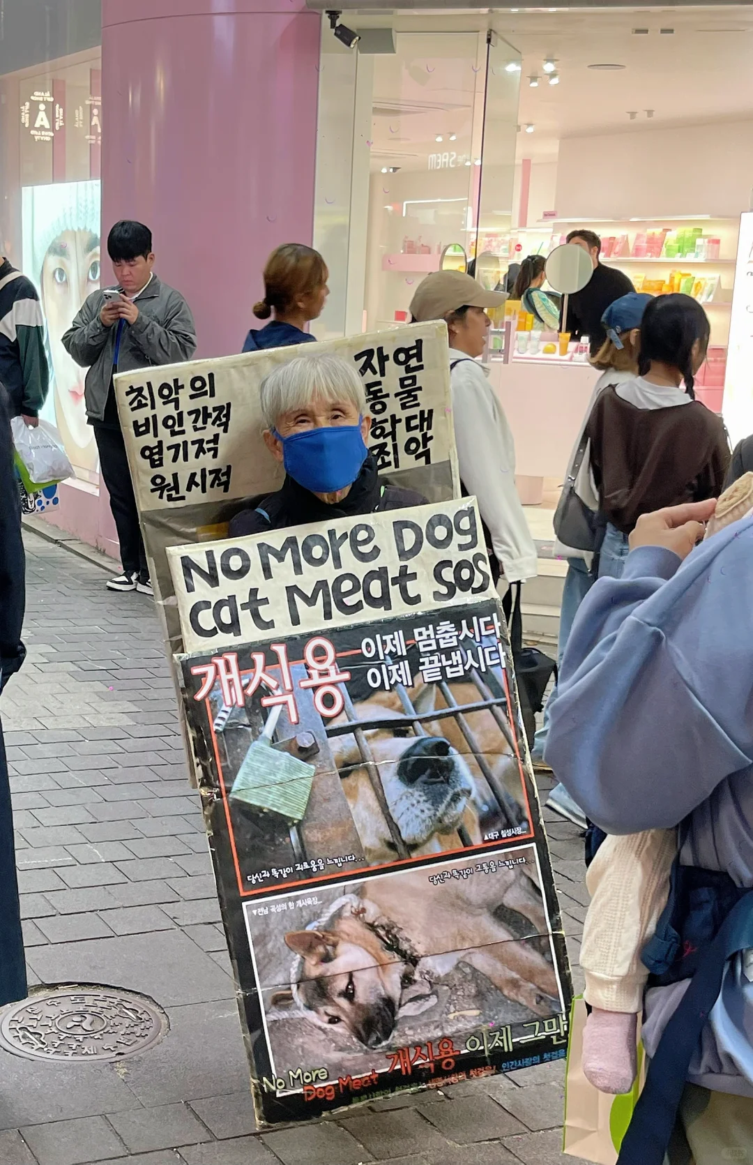 🇰🇷在明洞一位宣传保护动物的老奶奶😭