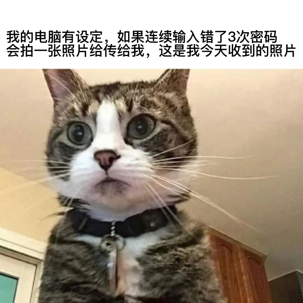 你想干嘛！#今日memes# //#v笑年度大赏# ​​​