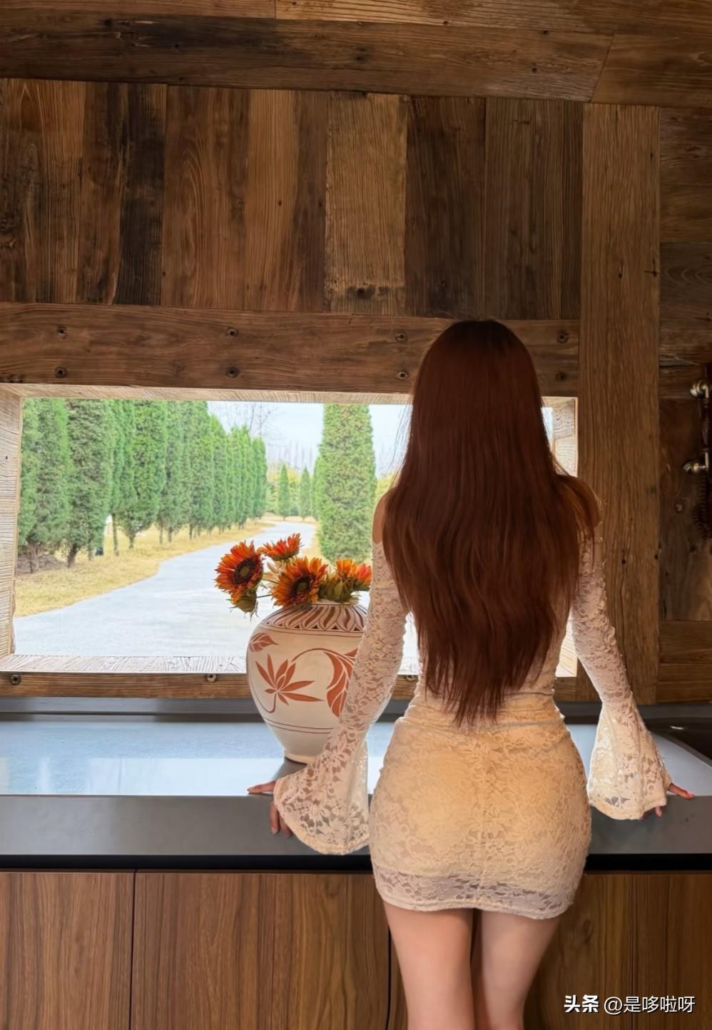 远眺那整齐的树木🌲