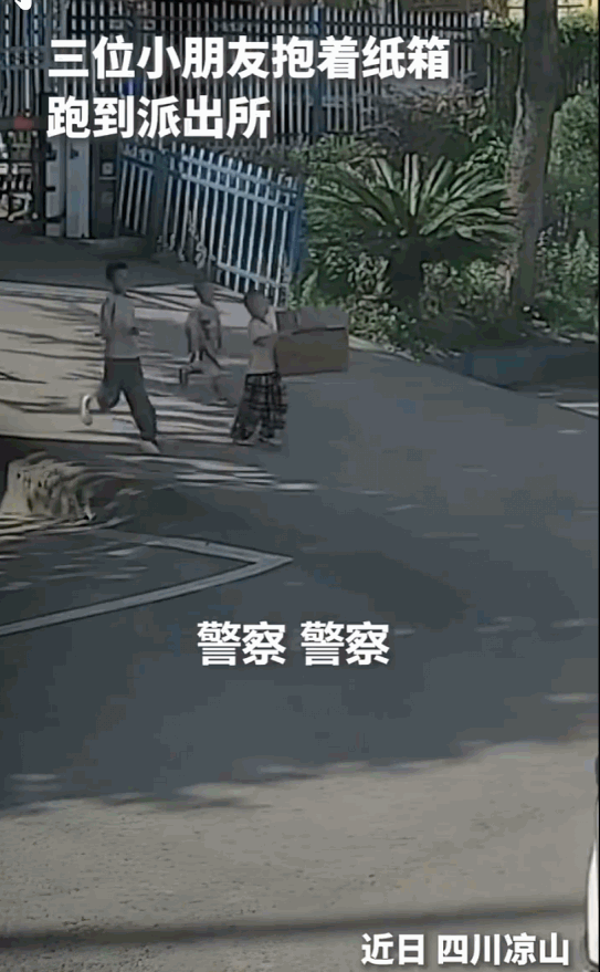 “自古英雄出少年”，四川凉山，三个小娃娃合力抱着一个神秘的破旧大纸箱子，气喘吁吁