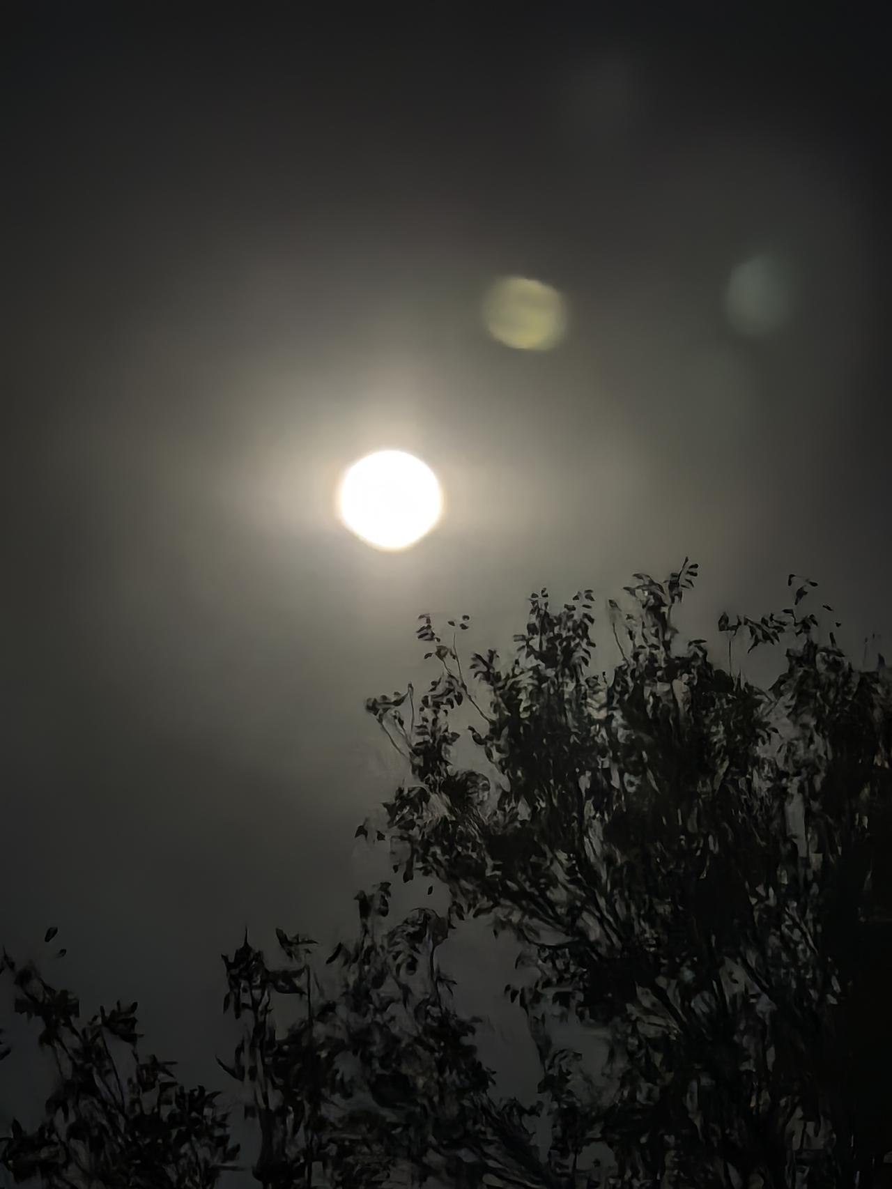 岁月的迁移
在我的脸上留下了痕迹
天气的变化
多少风雨雷电和晴空万里
只留下残缺