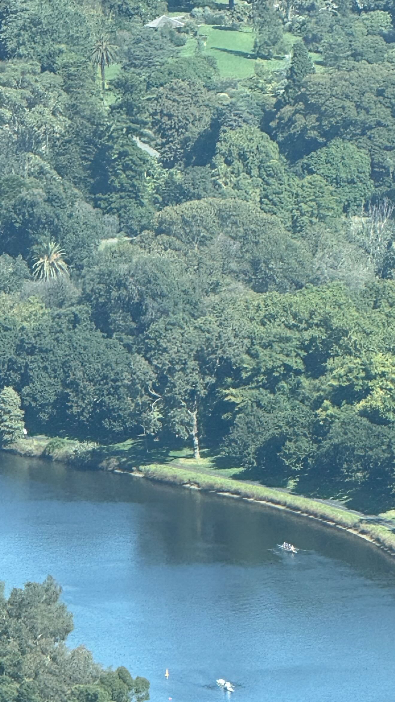 杰伦：好天气 舒服 