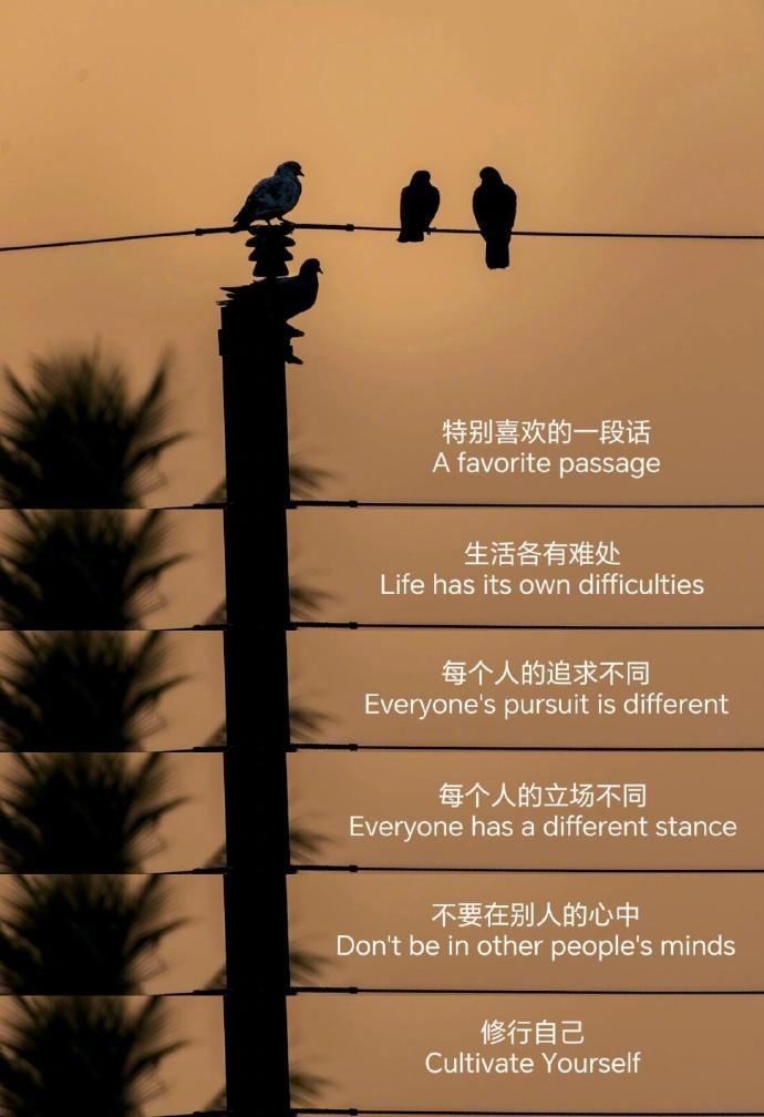 “不要在别人的心中修行自己” 