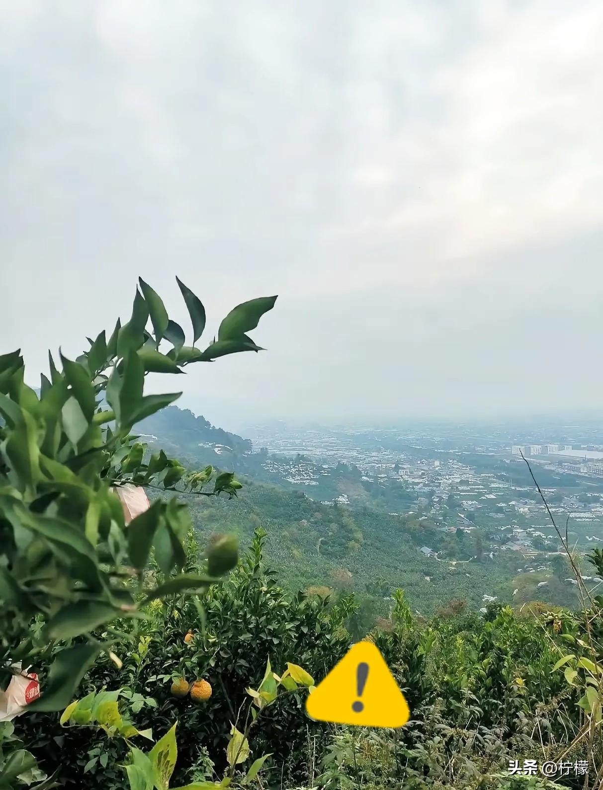 三年前，
我们村一个女的凌晨突然发病！
村子偏，又是半夜，根本叫不到
车！我家车