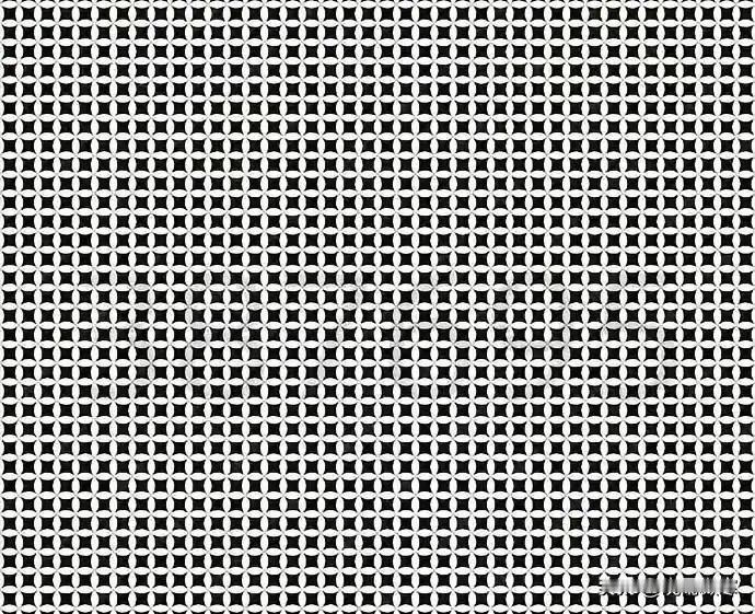 说你看到了什么？