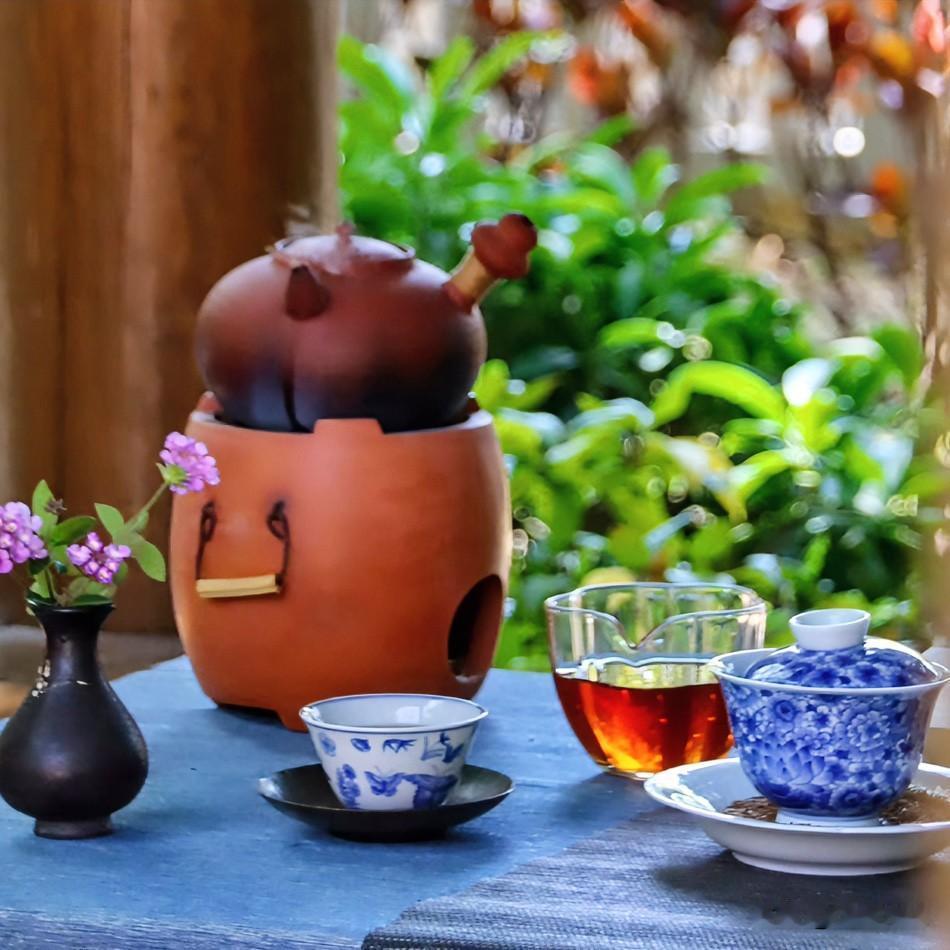 为什么喝茶要喝古树茶?

深夜归来，案头那壶老茶还在。不像新茶那般急于表达，它只