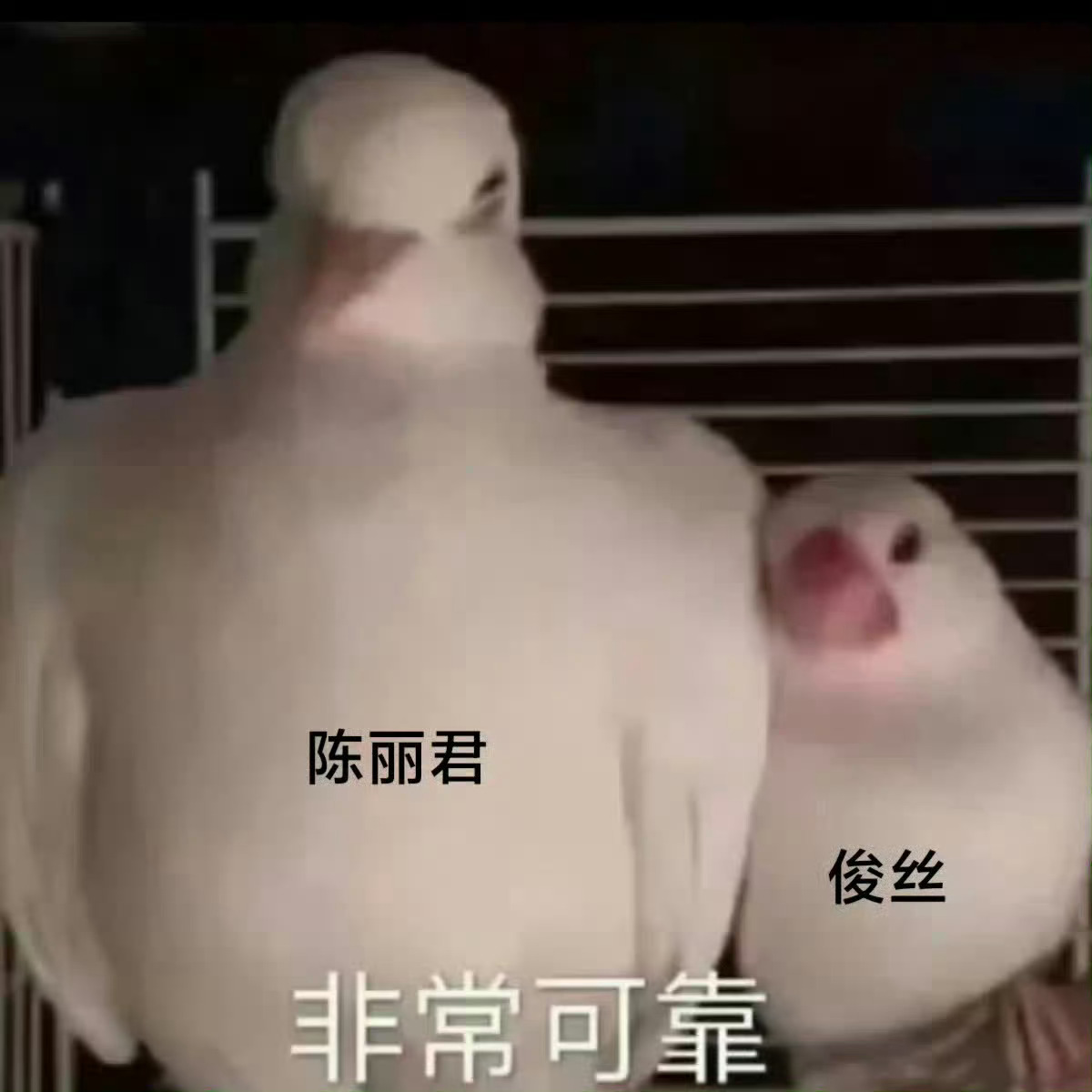 想说的是：吃瓜是个人自由 瓜可以吃 但别吃出执念 要有个能进能出随吃随吐的好心态