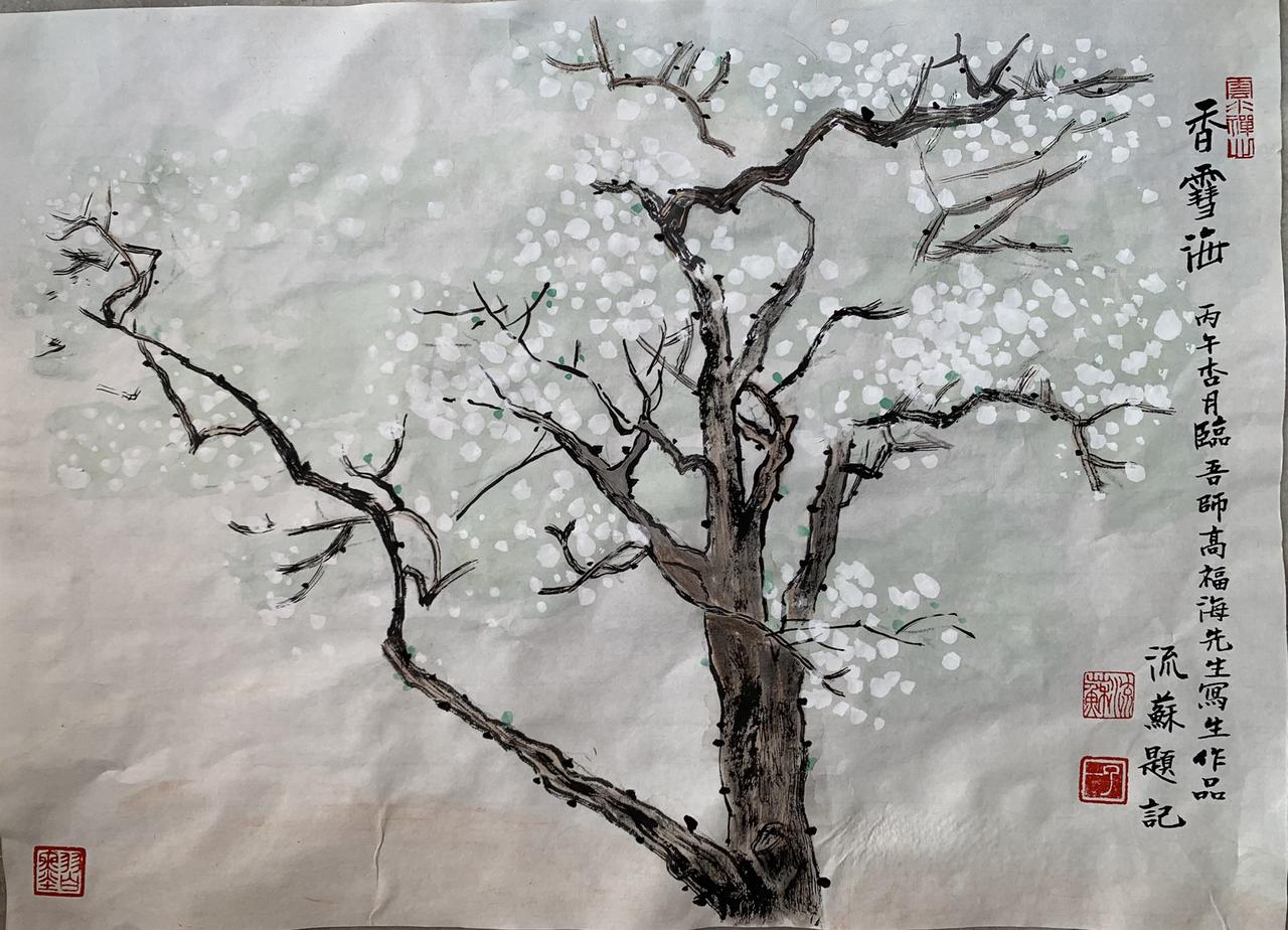 国画小写意 国画 国画梨花 香雪海