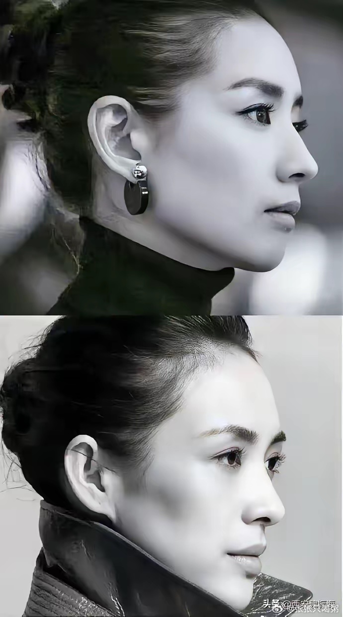 董洁和章子怡侧脸对比，谁更有美人相？ 
