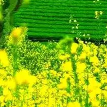 养养 普通日子也值得认真过生活大多数时候都是平淡的，没有戏剧性的惊喜，也没有轰轰