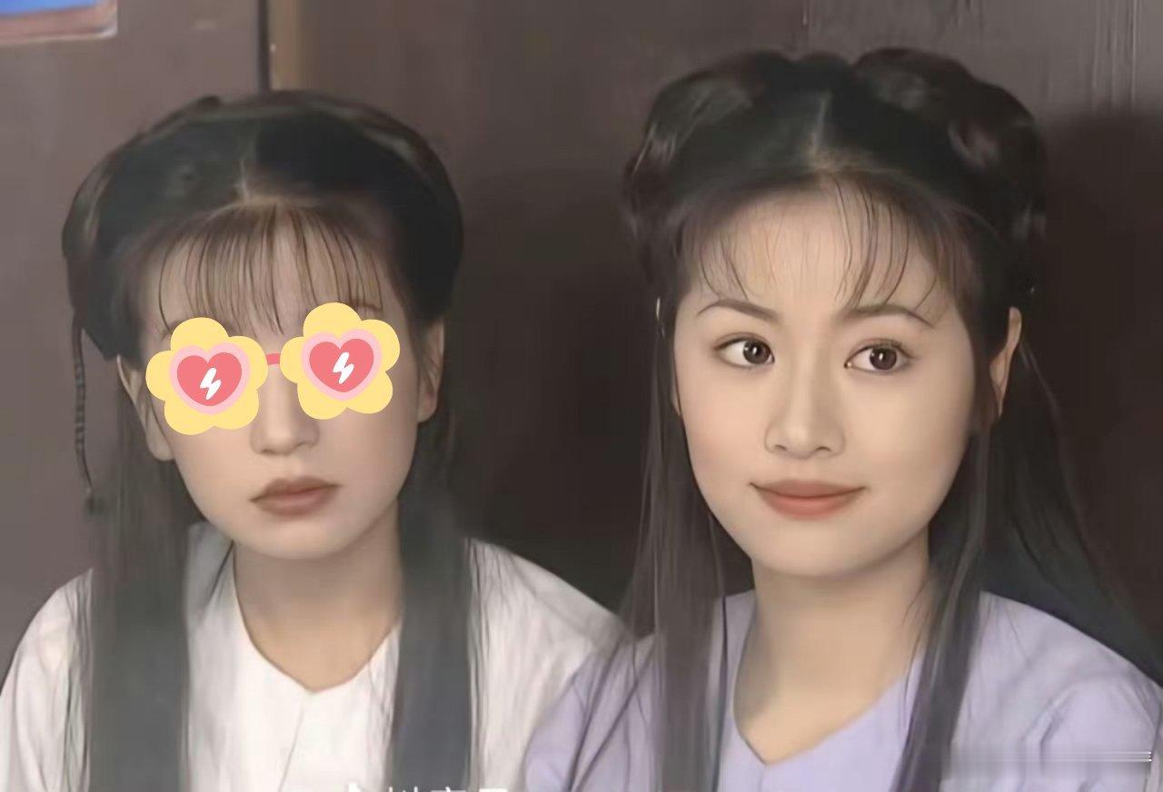 那还是紫薇漂亮，小燕子这个人设就很奇怪，可以活泼机灵好动，但到处闯祸还有人喜欢？