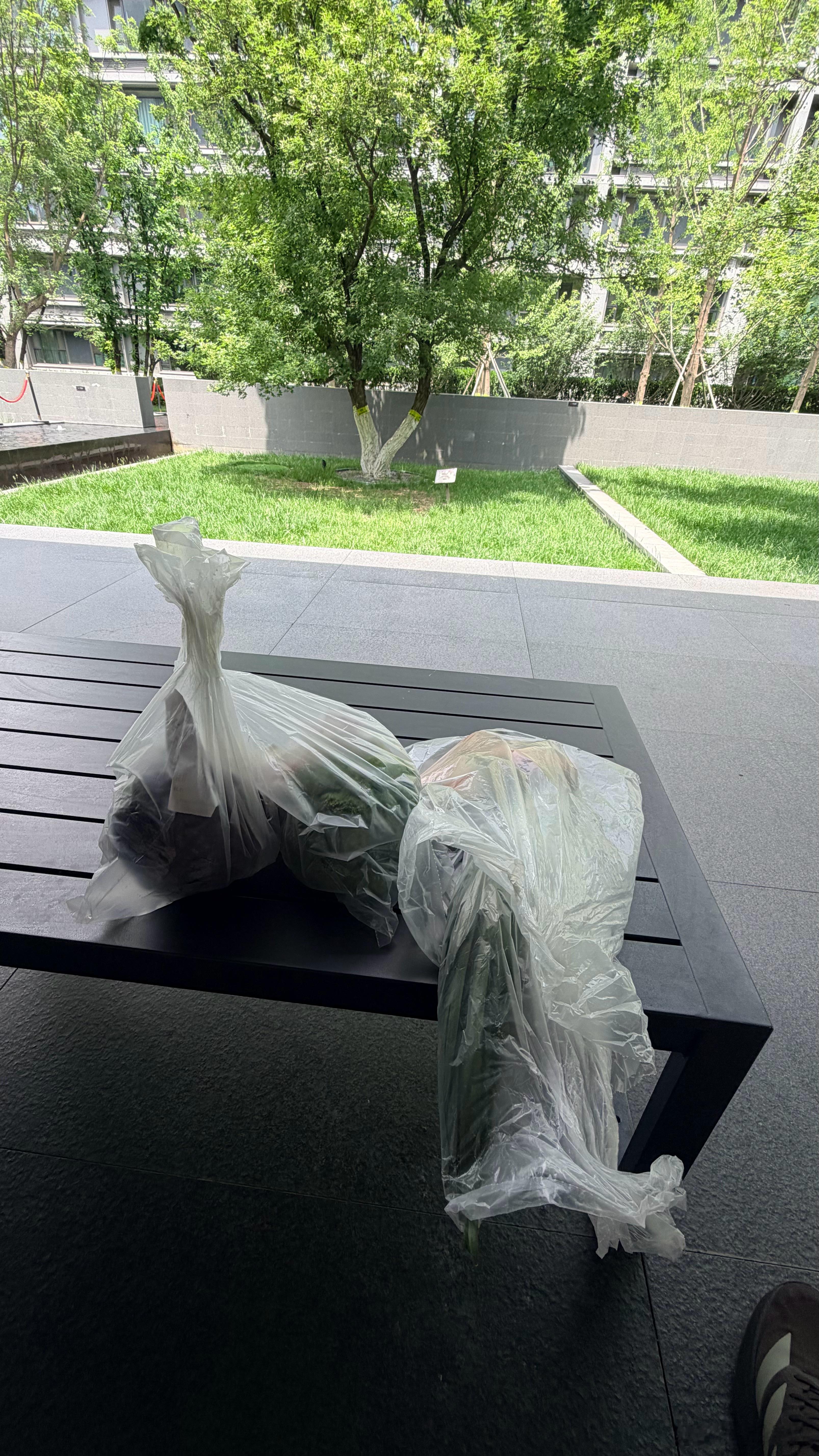 昨天广州周边看房热蒙了今天在北京  太舒服了太舒服了买了点菜  包饺子 