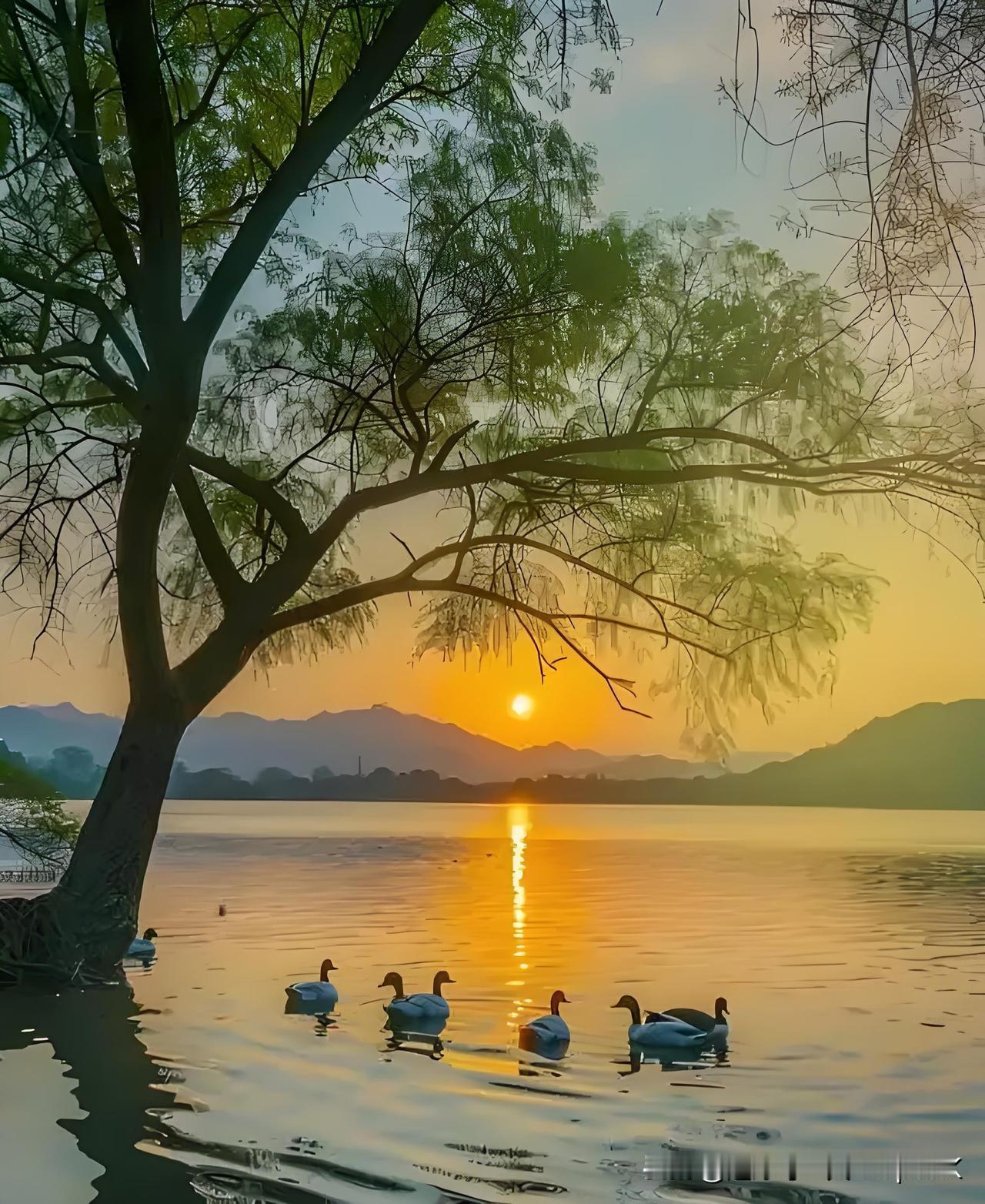 《春日湖上偶作》
——宋.文彦博
岸帻长吟坐钓矶，
花香漠漠柳依依。
夕阳湖面光