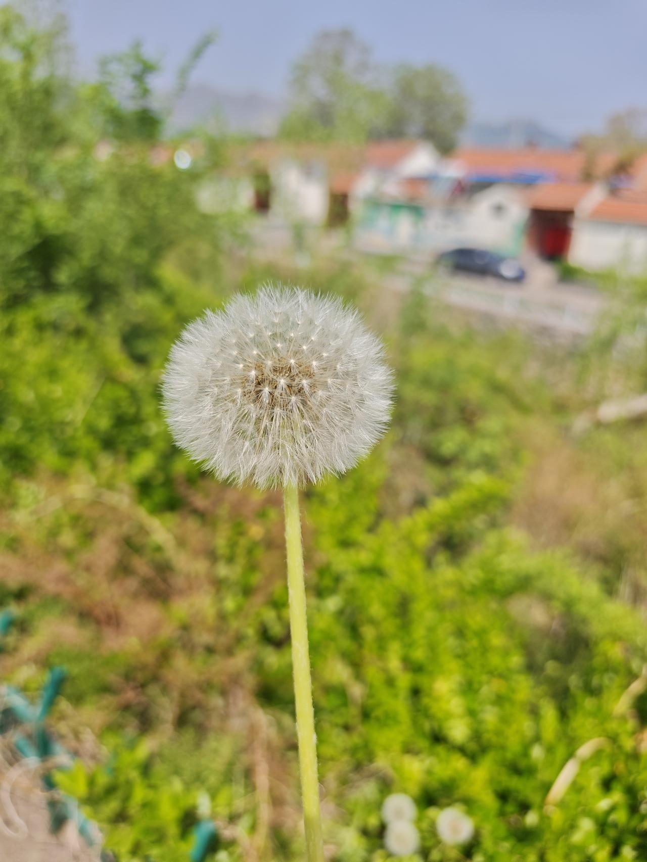 真心觉得当婆婆太难了，掏心掏肺帮儿媳妇带孩子，还落不到一句好。
 
我总怕小孙子