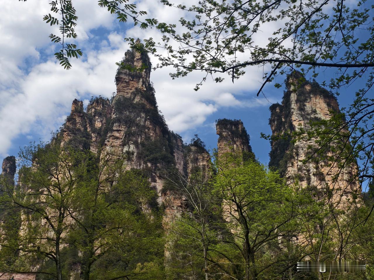结果比自己玩花钱太多，还没玩好，每个地方催着集合，太坑人了。