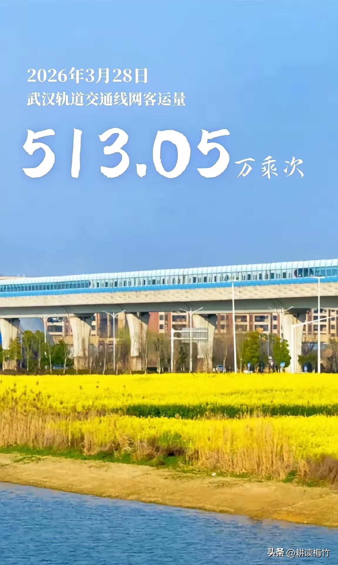 历史首次！3月27日、3月28日武汉地铁连续两天客运量超500万！

武汉的樱花