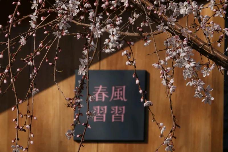 柳题春序
碧水清凌送远舟，
桃花两岸映红楼。
莺歌柳杪啼春序，
鸟语花香白蘋渊。
