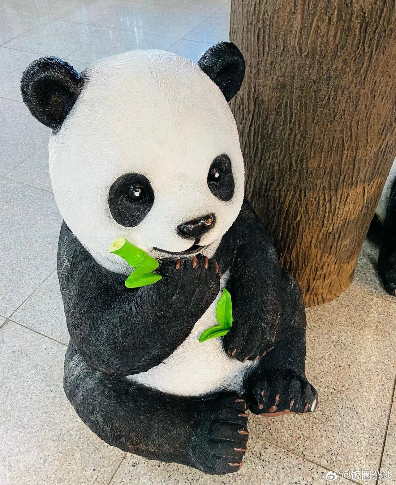 起猛了在成都街头偶遇大熊猫 亲眼看见熊猫在成都街头溜达，它拍着肚皮思考“先啃竹子