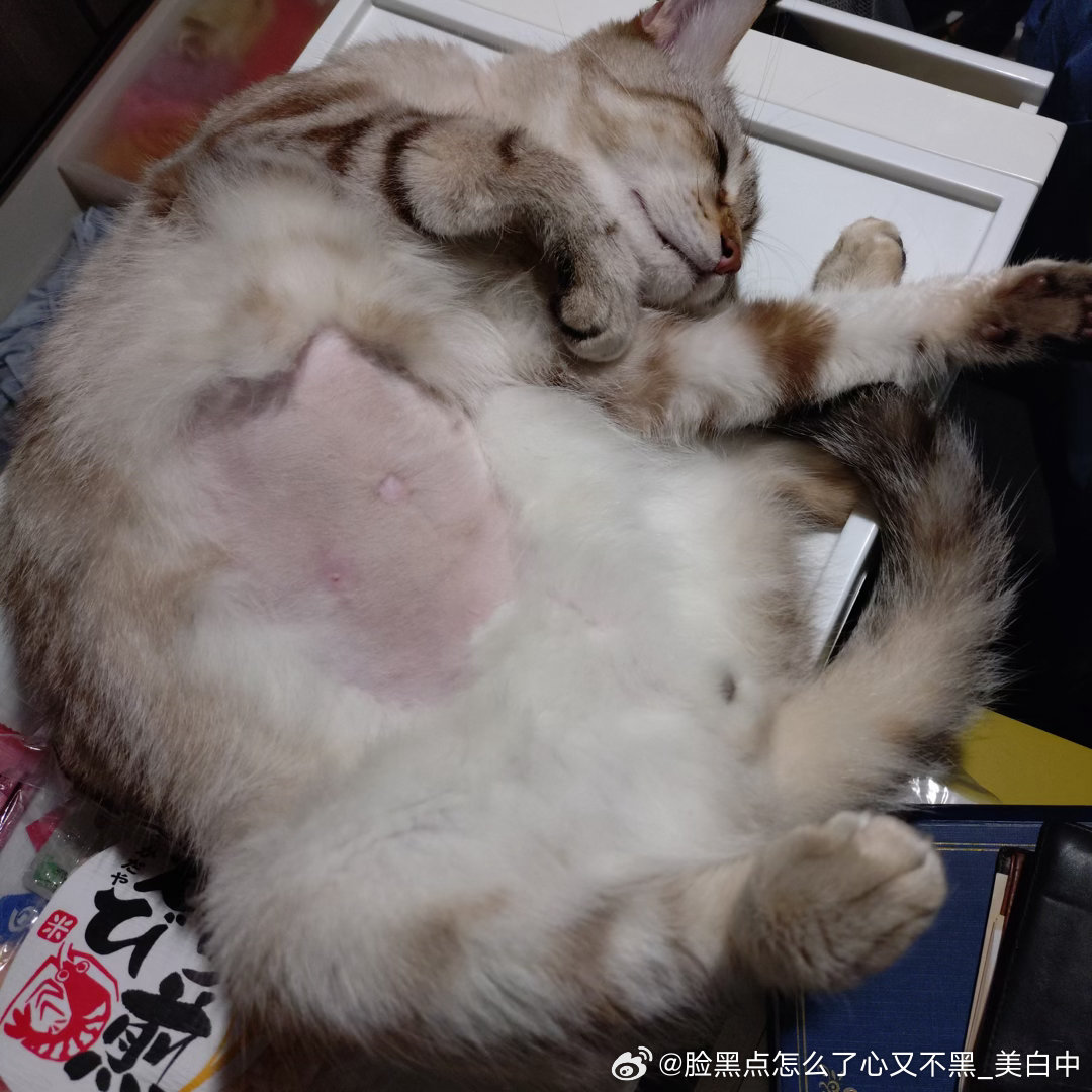 晚安逼罗