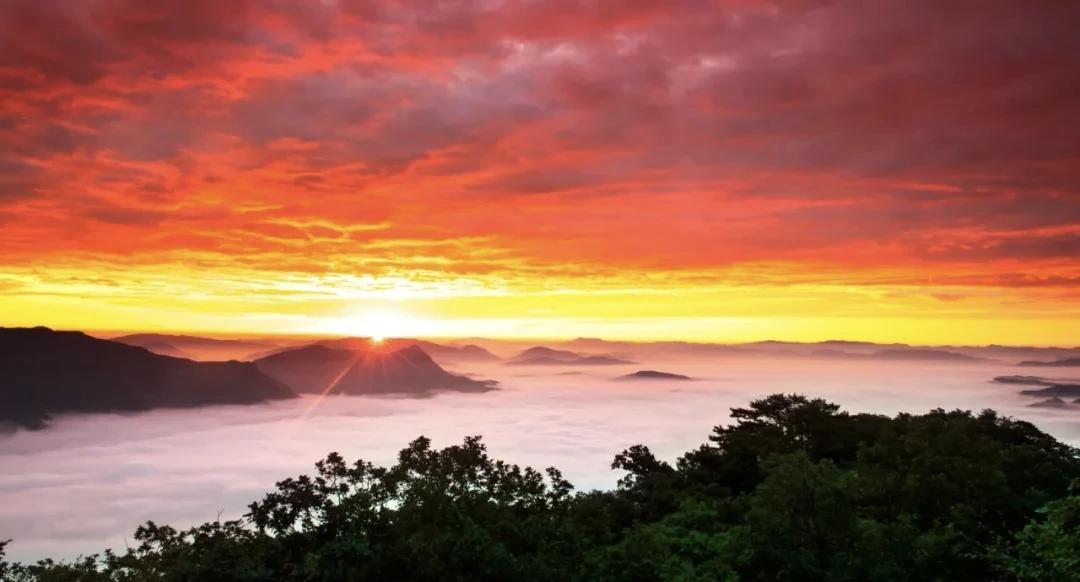 【爱是女人的宗教】
        “爱是女人的宗教”，这话很有意思。在小说《裂