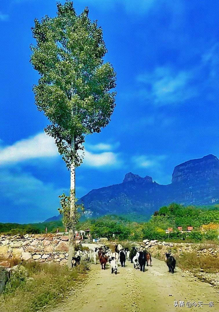 《行香子·山径幽蓝》
一袭遥天，万里清欢。
孤峰峙、独木屹然。
小径绵绵，曲绕烟