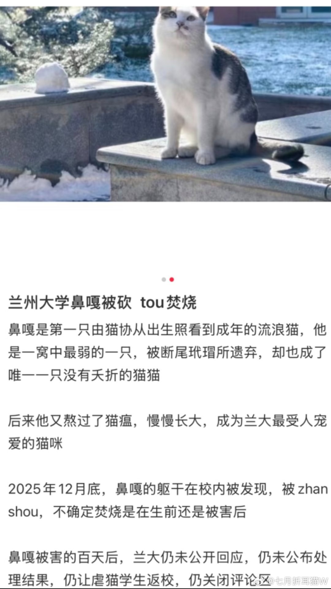 兰州大学惊现虐猫房车校内，房车这么大的目标都找不到吗？到底是查不到还是不想查？这
