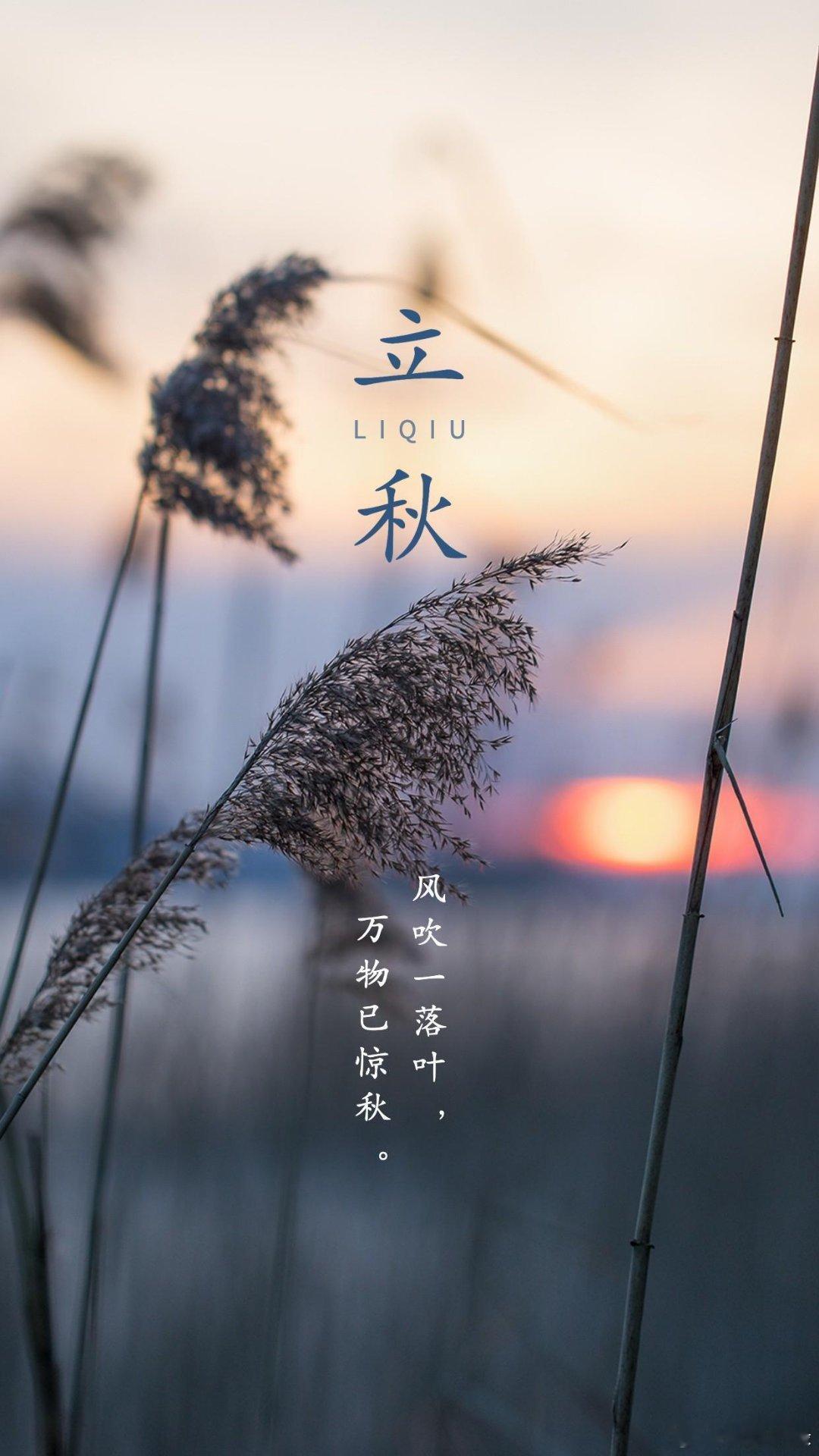 云天收夏色，木叶动秋声，立秋安，岁岁无忧。 