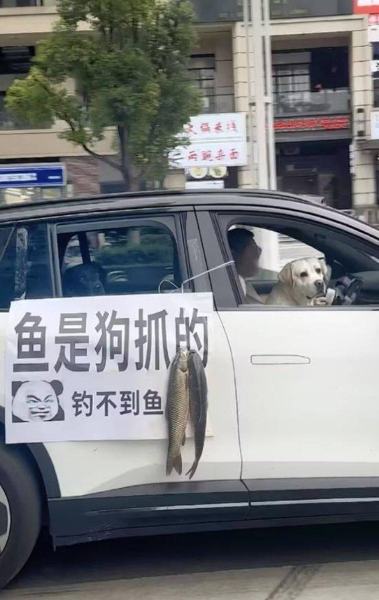 你还真别说，钓鱼佬在人品上绝对靠谱。
自己空军也没想着占狗子的功劳，
下次让你狗