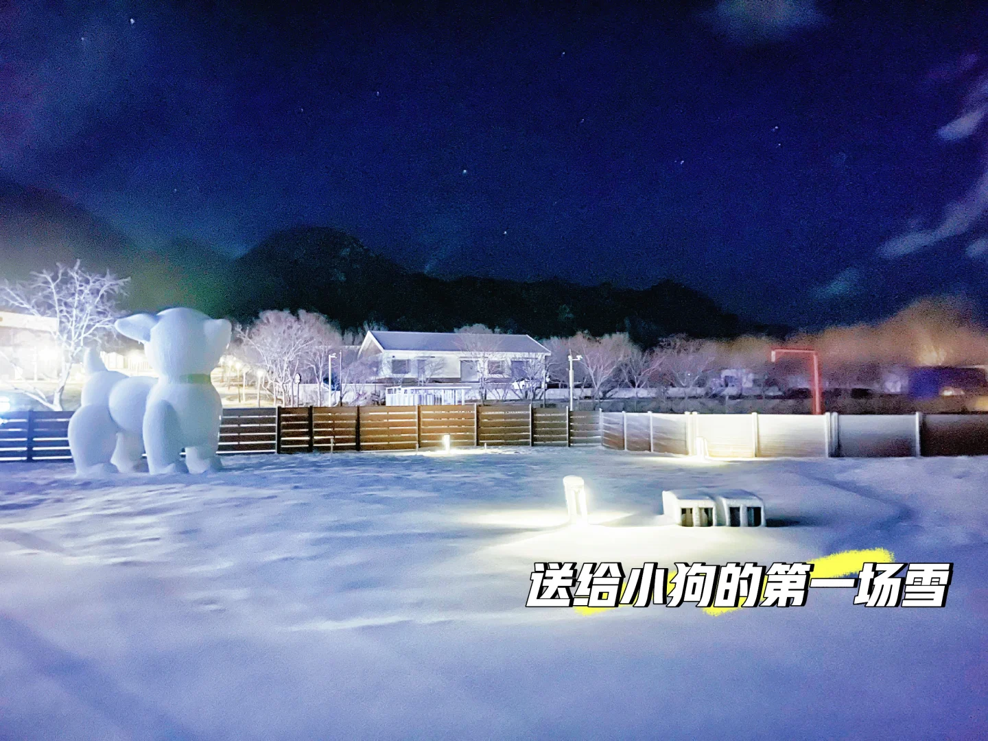 给小狗造个雪村|度假酒店太美了