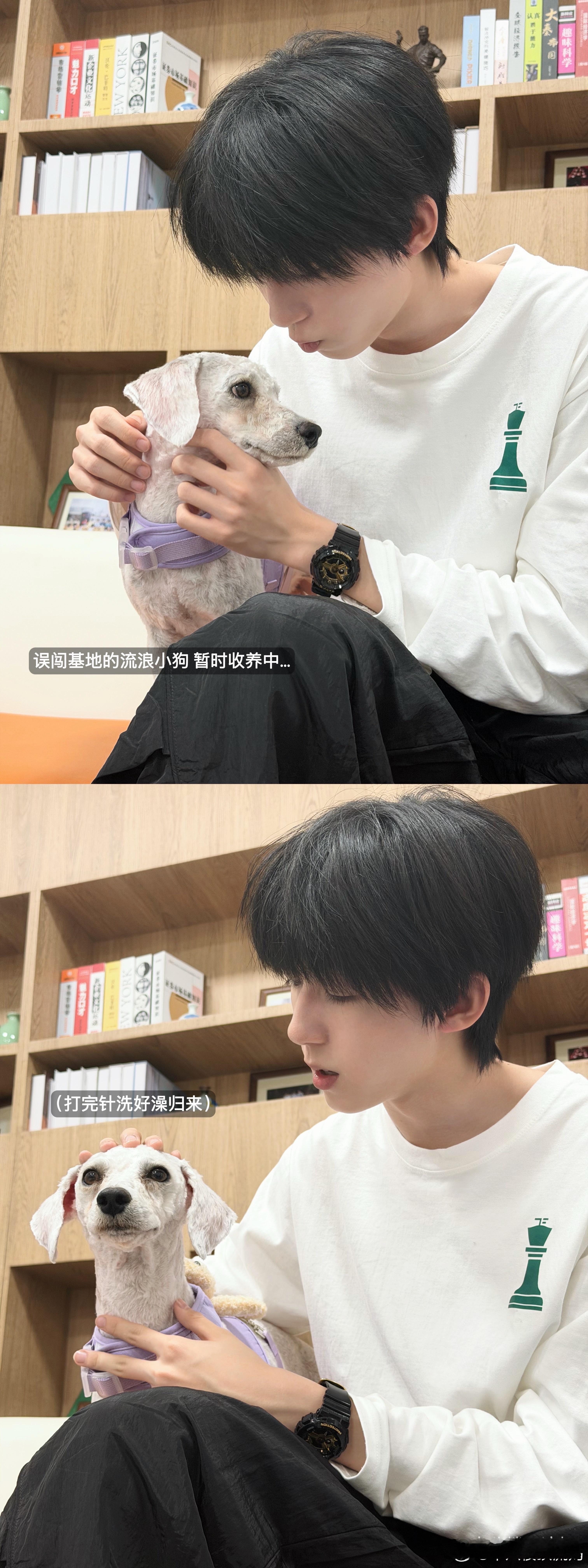 杨博文泡泡更新 