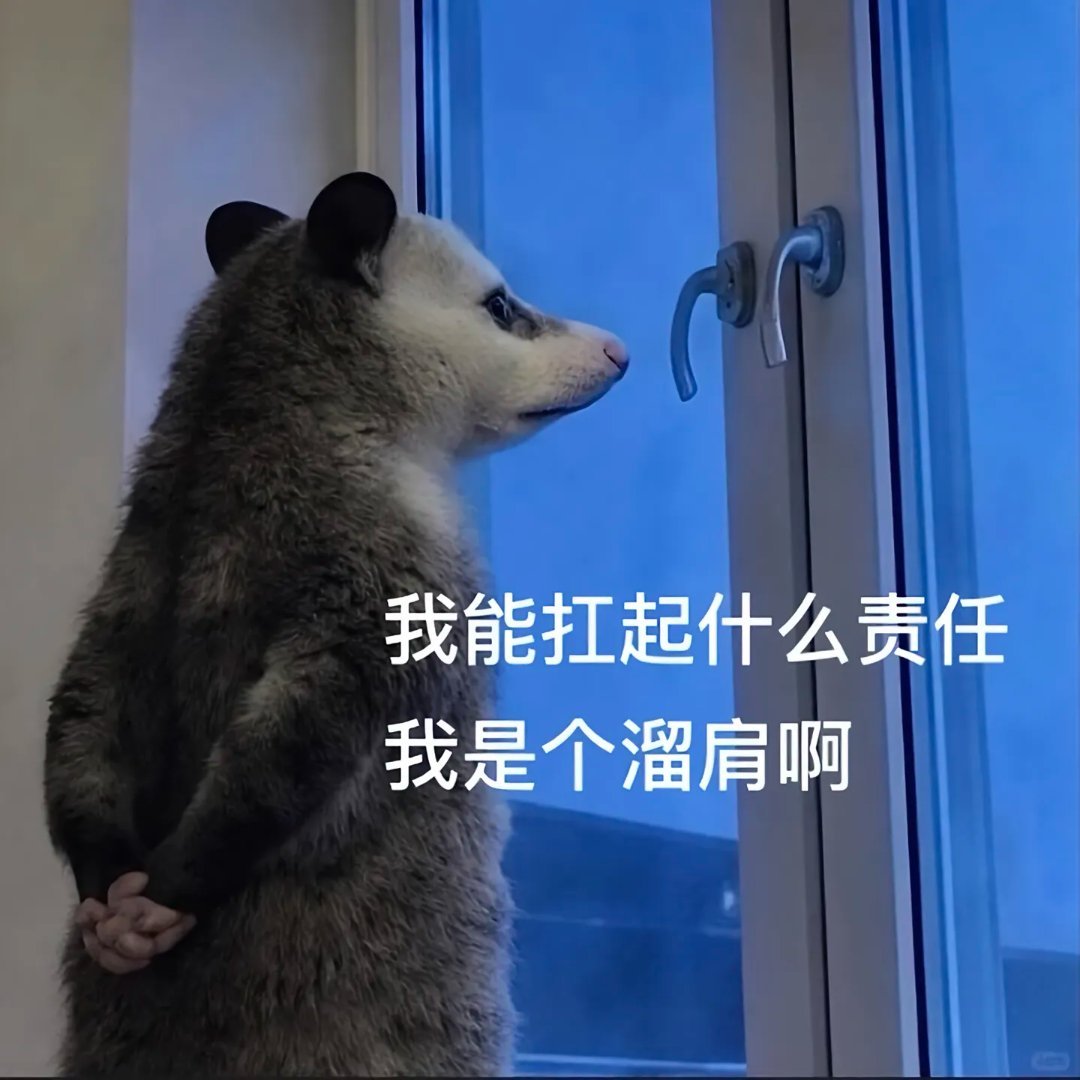 网红表情包负鼠不是鼠原来如此！不管是啥这个表情包真的很好用撒～