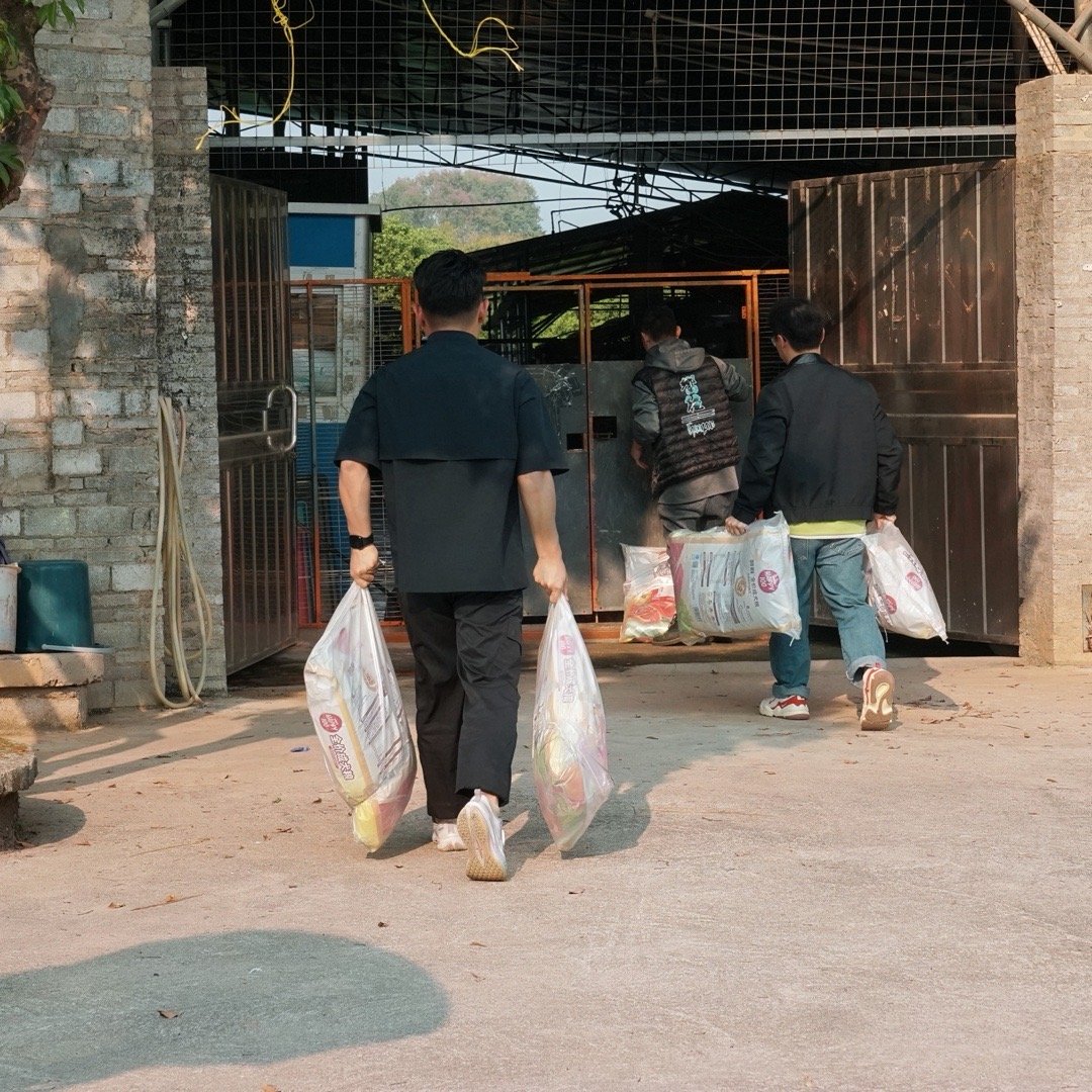 小鹏MONA车主送救助站千斤宠粮破防了！广州寒潮来袭，救助站小院里却暖意爆棚！两