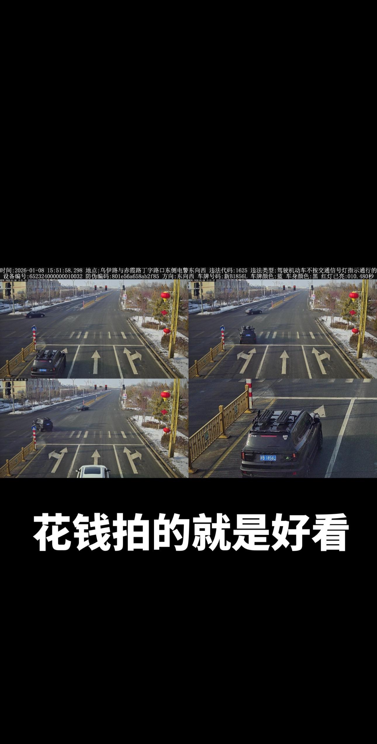 花钱拍的就是帅