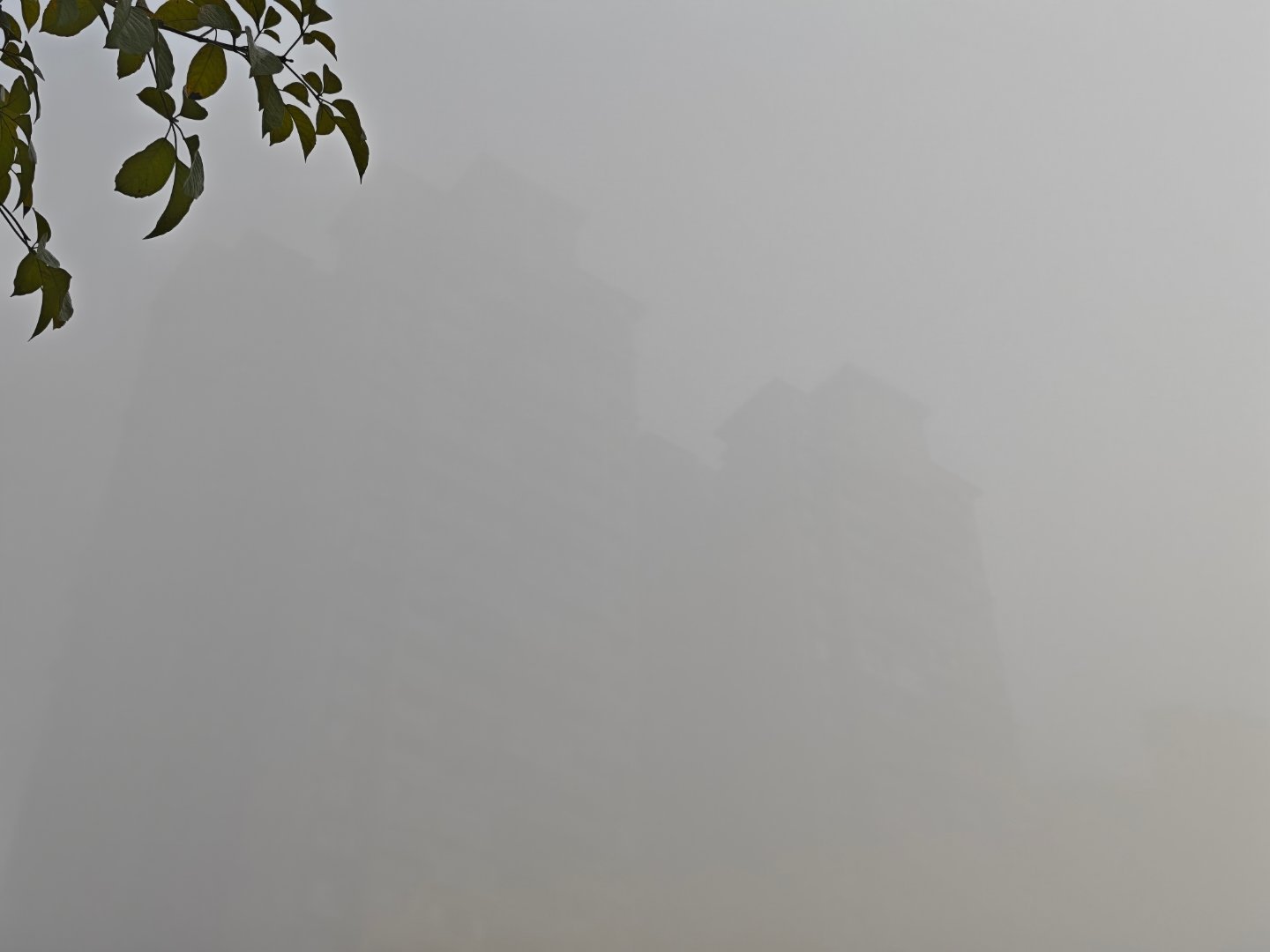 遇到了超级大雾，每次这种情况开车我都会发现大家不开雾灯一整排全是开双闪，雾灯的穿